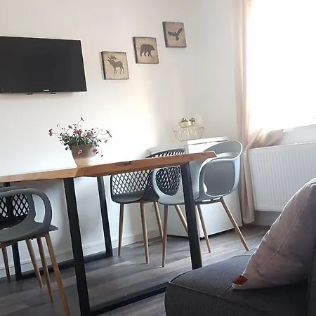 Ferienwohnungen Busch'S Gaestehaus Rust Zewnętrze zdjęcie